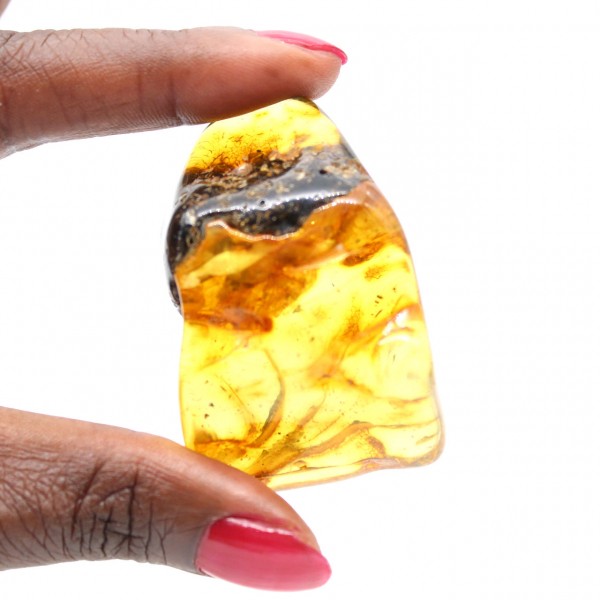 Authentique Galet d'Ambre Poli de Lituanie - Pièce de minéralogie