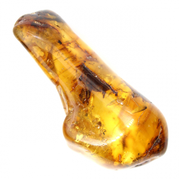 Spécimen de Galet d'Ambre Poli - Décoration et Science Géologique