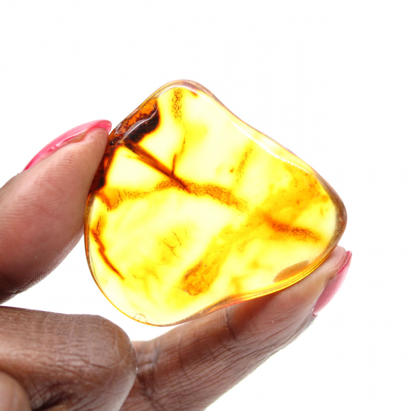 Petit Galet d'Ambre de Lituanie Poli - Authenticité et Science