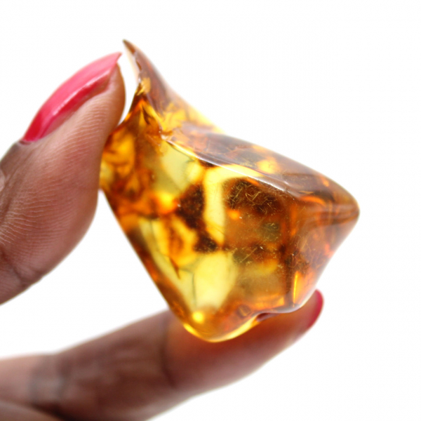 Galet d'Ambre Poli de Lituanie - Beauté Naturelle et Collection