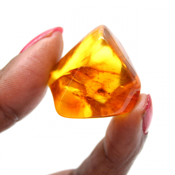 Petit Spécimen de Galet d'Ambre Poli - Authentique Lituanie