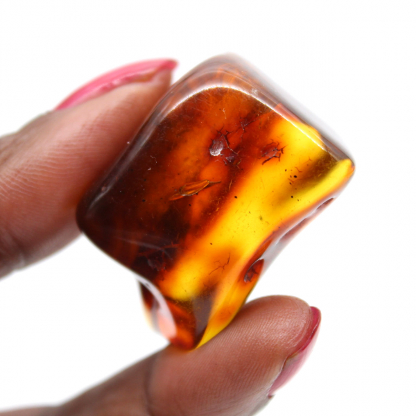 Spécimen de Galet d'Ambre Poli - Décoration Intérieure