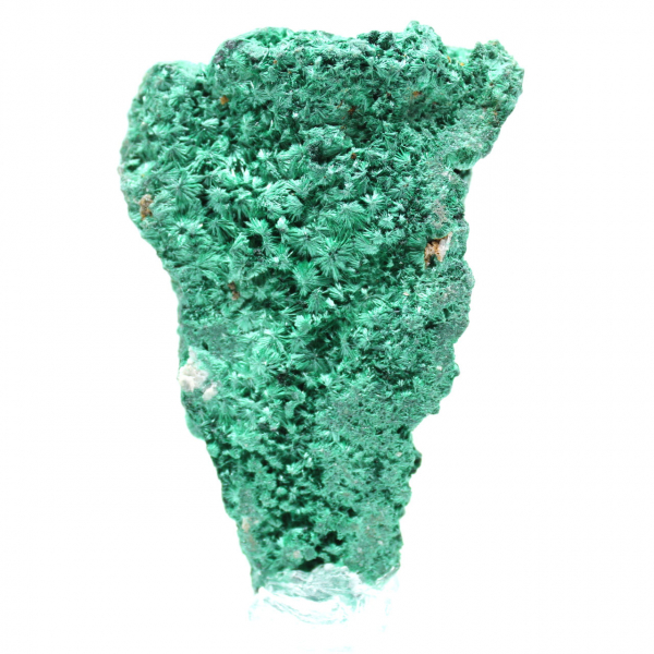 Malachite Fibreuse Brute du Congo Malachite Fibreuse Brute du Congo