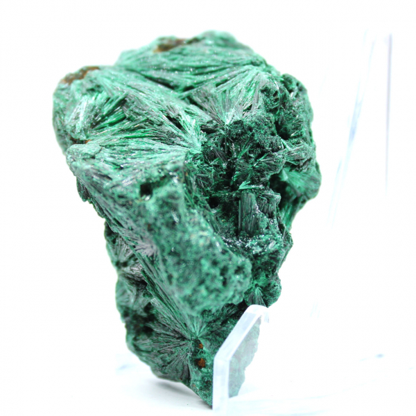 Morceau de Malachite Fibreuse Brute Morceau de Malachite Fibreuse Brute