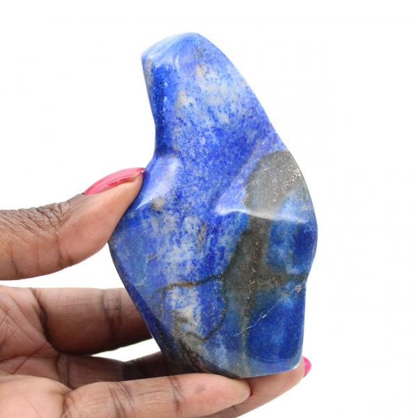 Ornement Lapis-Lazuli Poli Nuances Profondes