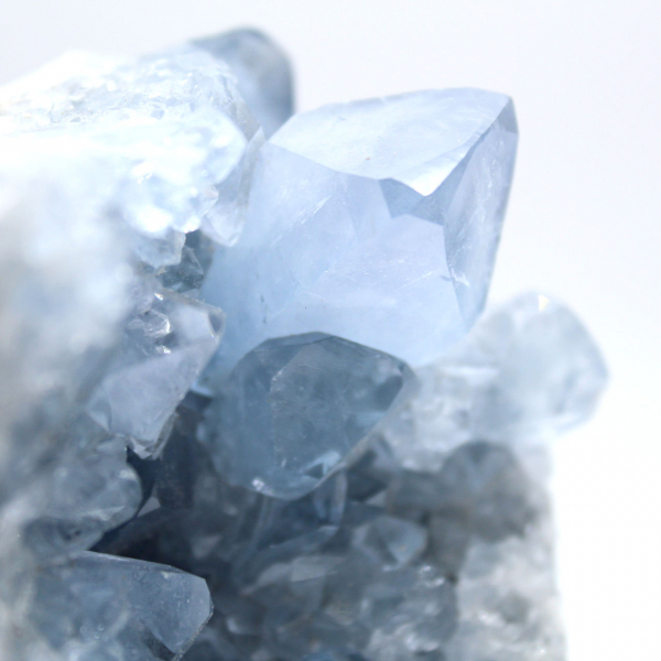 Spécimen de célestite bleue avec cristaux brillants