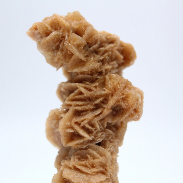 Rose des sables minéral authentique