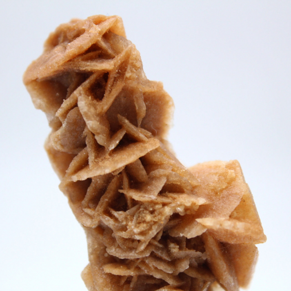 Rose des sables authentique formation naturelle