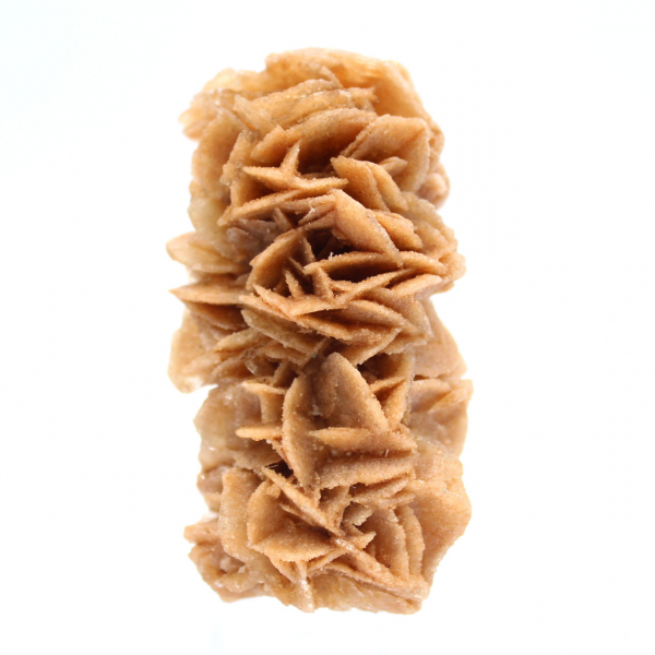 Rose des sables fossile de Tunisie