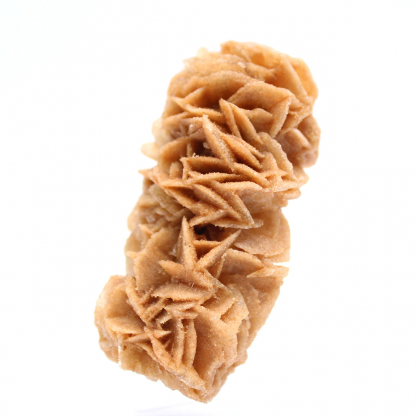 Rose des sables fossile de Tunisie