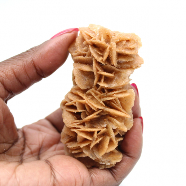 Rose des sables fossile de Tunisie