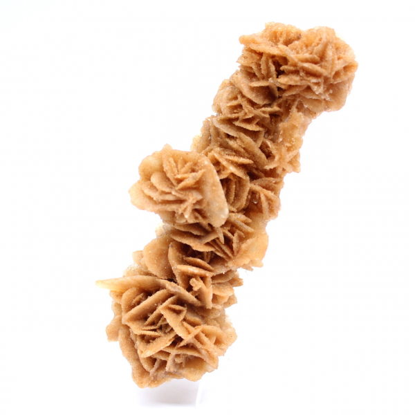 Rose des sables décorative Tunisie