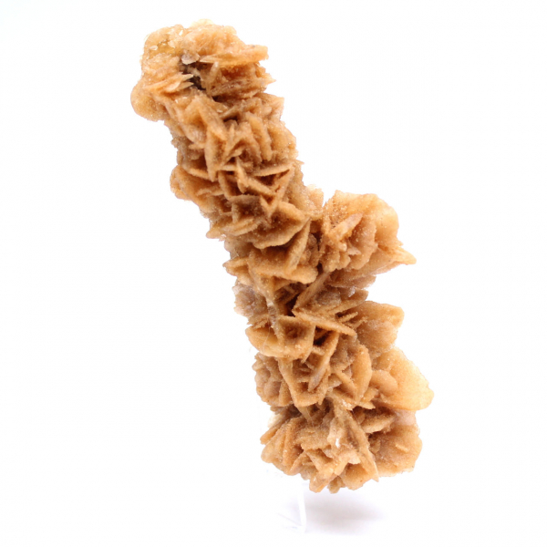 Rose des sables décorative Tunisie