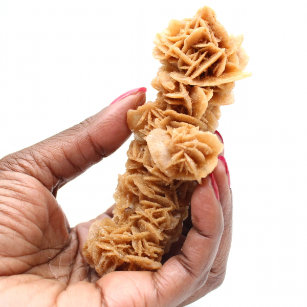 Rose des sables décorative Tunisie