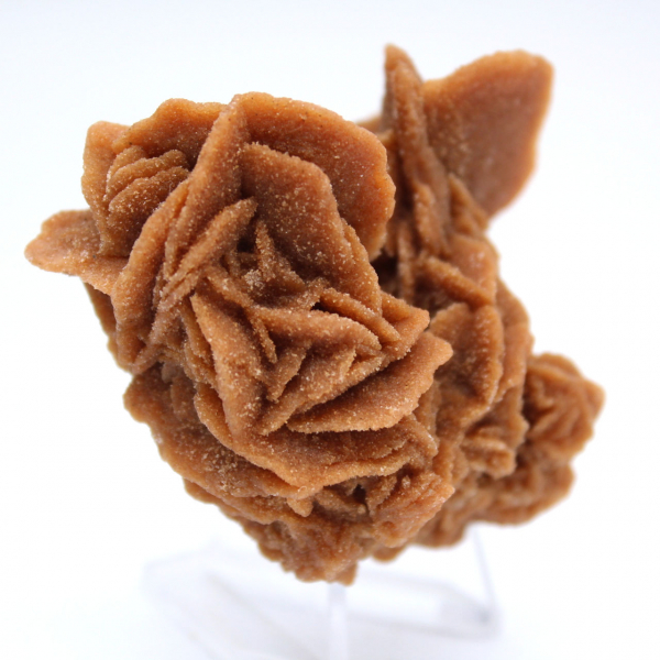 Formation cristalline rose des sables