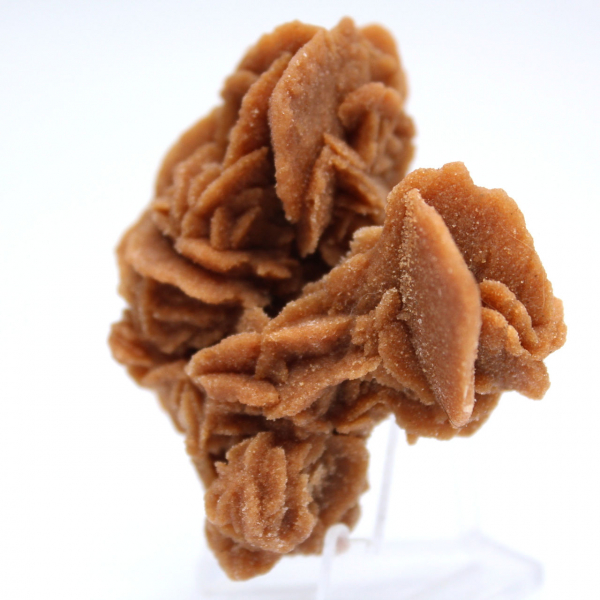 Formation cristalline rose des sables