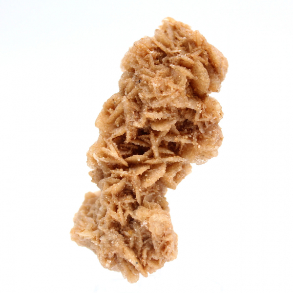 Spécimen brut rose des sables de Tunisie