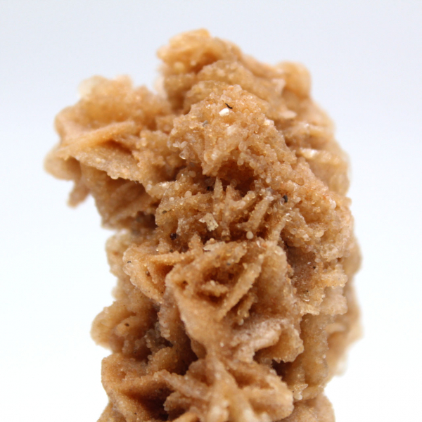 Spécimen brut rose des sables de Tunisie