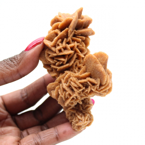 Rose des sables brute de Tunisie