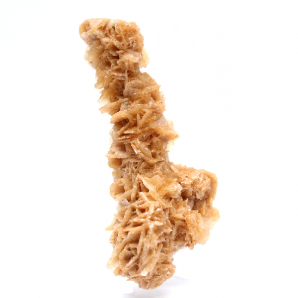 Bloc cristallisé rose des sables Tunisie