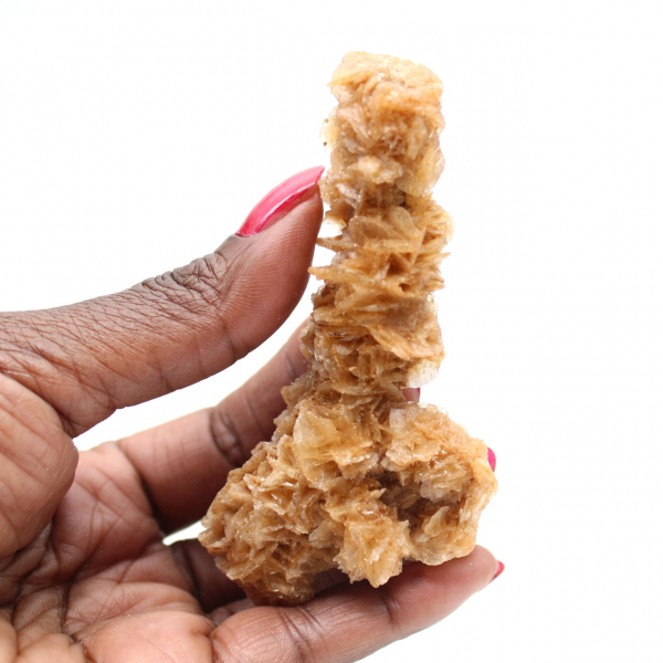 Bloc cristallisé rose des sables Tunisie