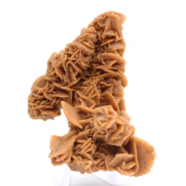 Spécimen unique rose des sables