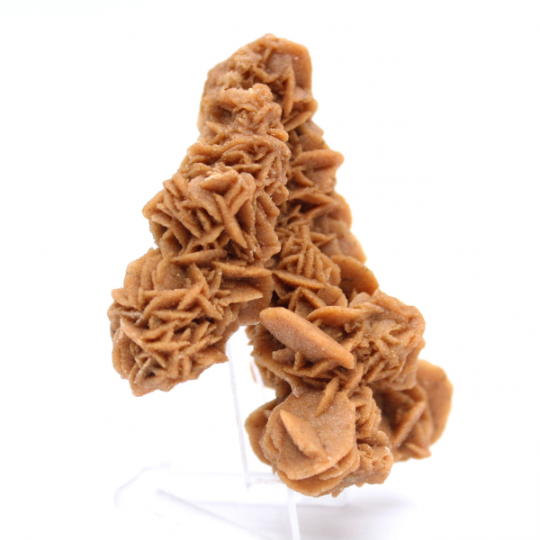 Spécimen unique rose des sables