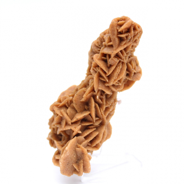 Spécimen unique rose des sables