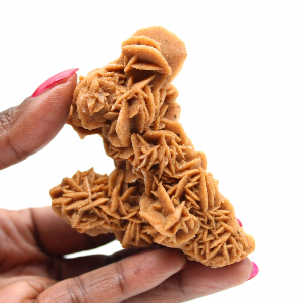 Spécimen unique rose des sables