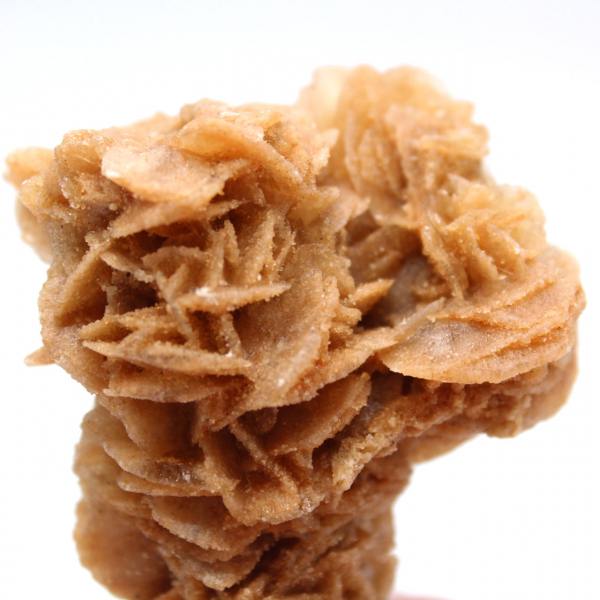 Formation minérale rose des sables