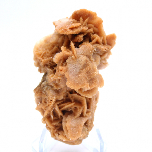 Bloc naturel rose des sables Tunisie