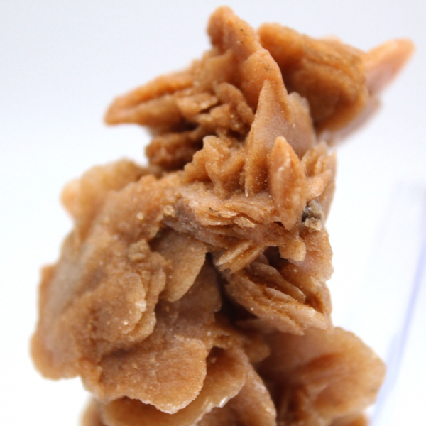 Bloc naturel rose des sables Tunisie