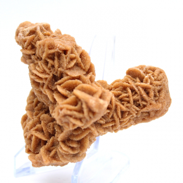 Rose des sables cristallisée origine