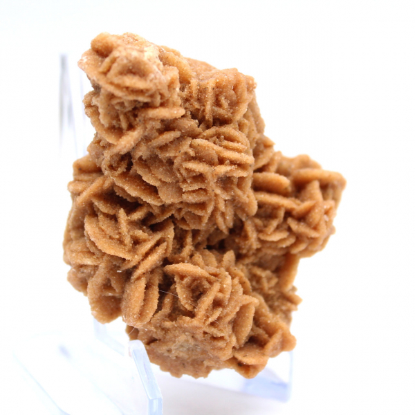 Rose des sables cristallisée origine