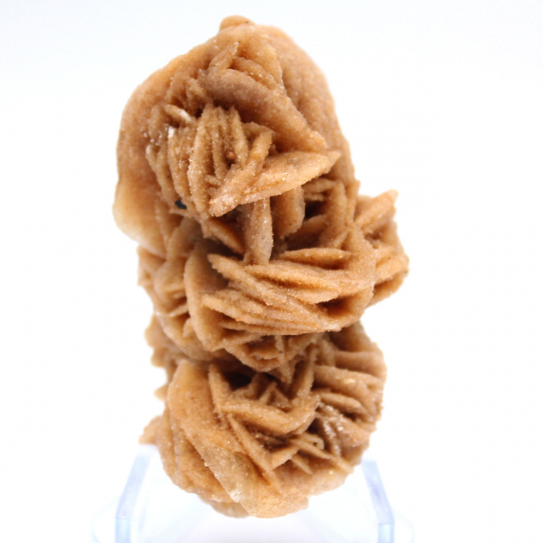 Cristaux naturels rose des sables