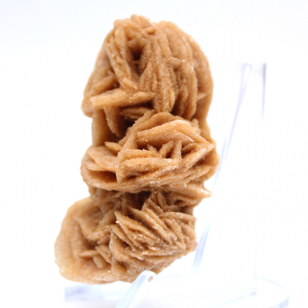 Cristaux naturels rose des sables