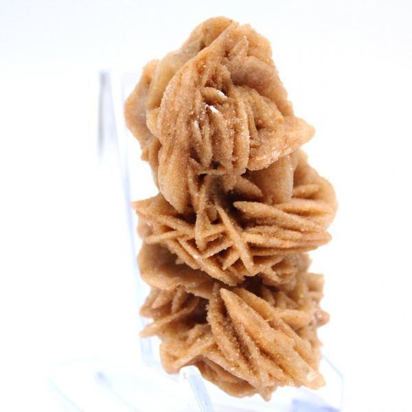 Cristaux naturels rose des sables