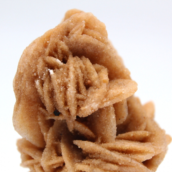 Cristaux naturels rose des sables