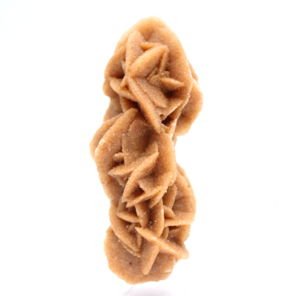 Rose des sables collection de Tunisie