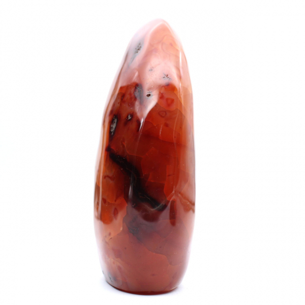 Cornaline Polie XXL Madagascar - Pierre Décorative Rouge-Orange Authentique (Ornement)