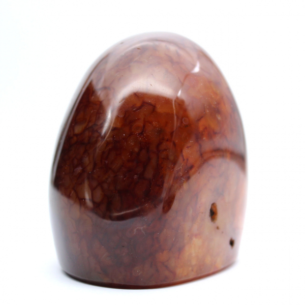 Authentique Cornaline Polie pour Collection et Décoration - Ornement de Madagascar