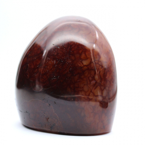 Authentique Cornaline Polie pour Collection et Décoration - Ornement de Madagascar
