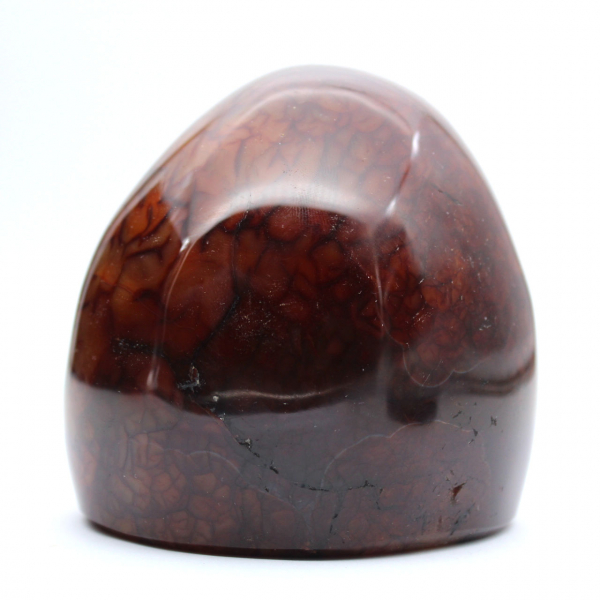 Authentique Cornaline Polie pour Collection et Décoration - Ornement de Madagascar