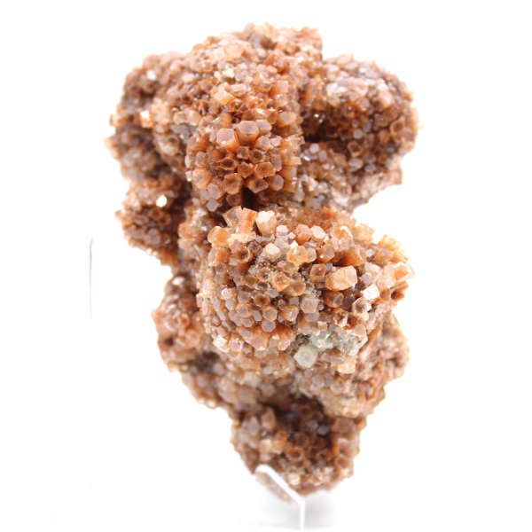 Aragonite marocaine en cristaux bruns