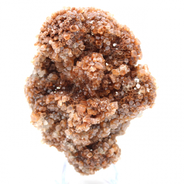Aragonite marocaine en cristaux bruns