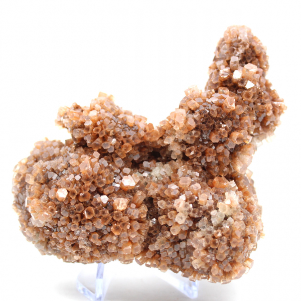 Cristaux d’Aragonite du Maroc en formation naturelle
