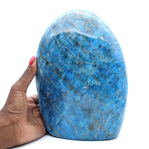 Grande Apatite polie, spécimen décoratif, pierre naturelle de Madagascar