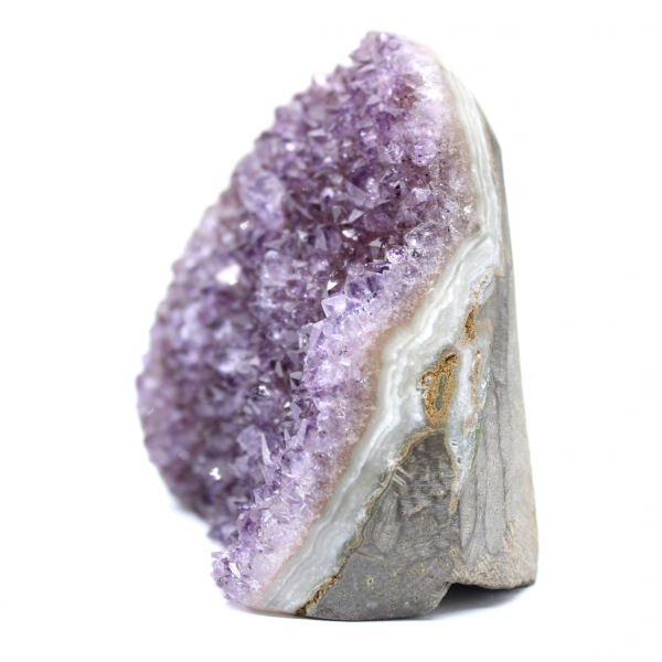 Améthyste Naturelle Brésil : Élégante Petite Géode