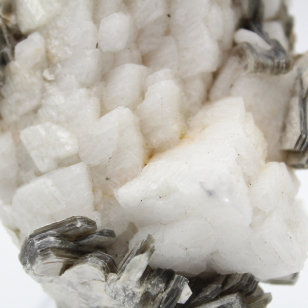 Petit spécimen de mica sur quartz blanc