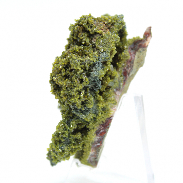 Épidote marocaine sur gangue claire